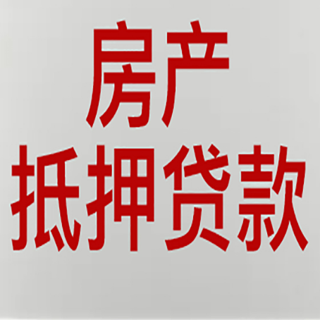 禹会贷款中介公司新渝启服能力强